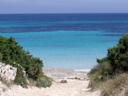 Strand Formentera